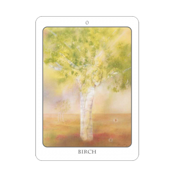 The Tree Angel Oracle kortų ir knygos rinkinys Earth Dancer